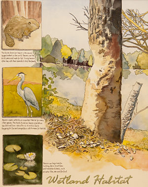 Drawing by Jennifer Landin shows birds and trees.