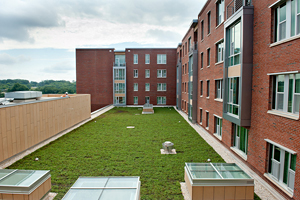 The rooftop garden absorbs rainwater at the new Wolf Ridge Apartments.