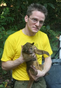 Roland Kays with the olinguito, a new mammal species.