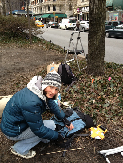 Elsa Youngsteadt, doing fieldwork in NYC. Photo: Lea Shell.