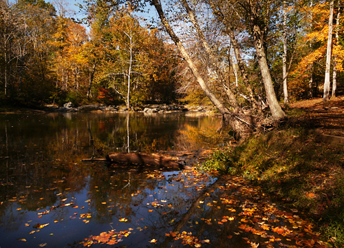 Fall foliage at Eno River State Park
