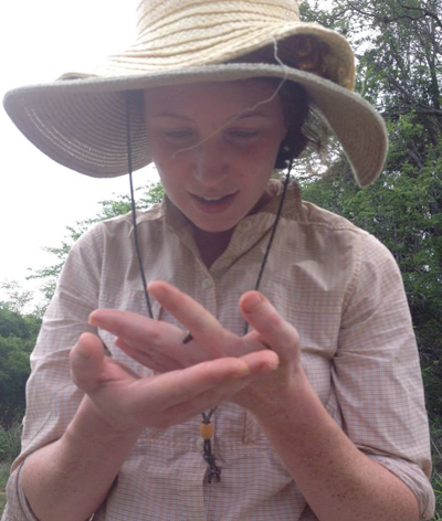 Emily Meineke, checking out insects in the field. Photo courtesy of Emily Meineke.