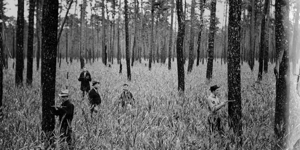 Archive photo of Hofmann Forest, circa 1937.