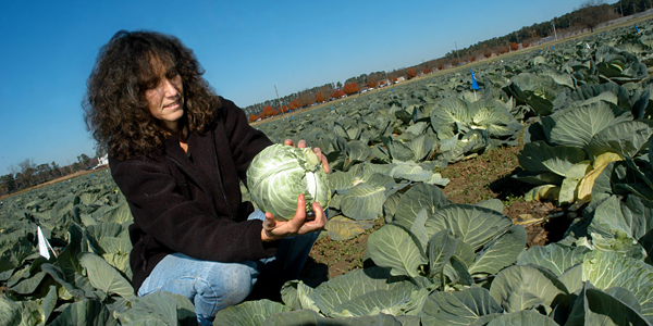 Nancy Creamer in the field with a head of lettuce.