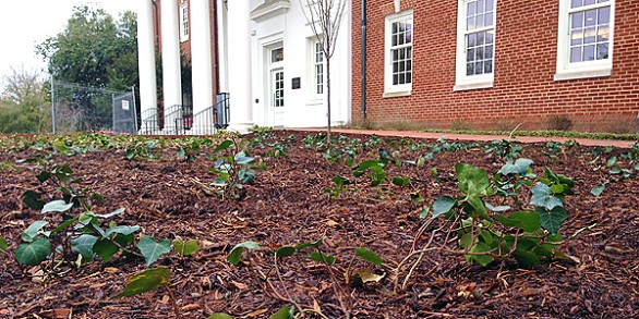 city of winston salem mulch city of winston salem mulch