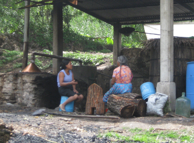 A small mezcal distillery in Guerrero, Mexico. Photo credit: Sarah Bowen. Click to enlarge.