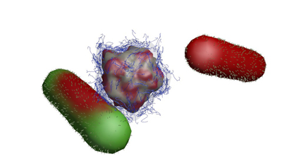 Environmentally benign nanobullet (center) attacks bacteria      (left) and neutralizes it (right).