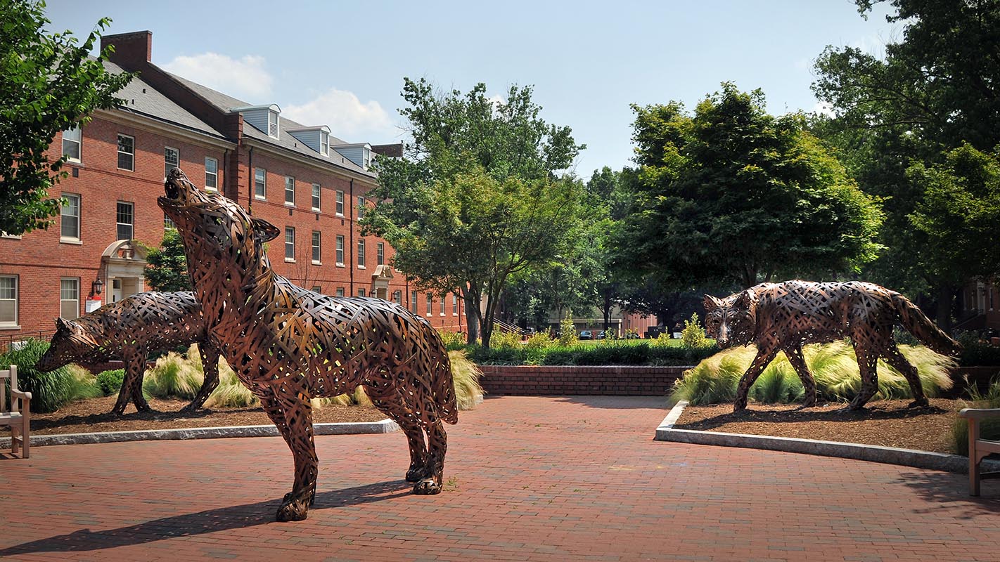 Bronze wolf statues on campus at NC State.