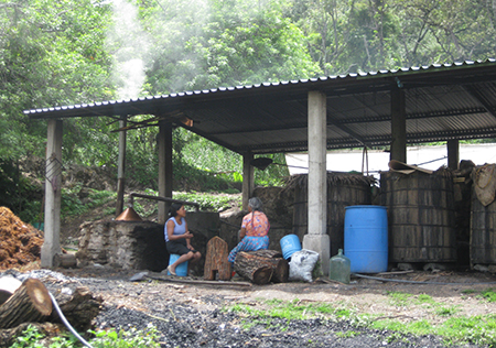 A small distillery. Photo credit: Sarah Bowen.