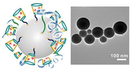 On left is a schematic illustration of liquid-metal 'nano-terminators.' The red spheres are Dox. At right is a representative TEM image of liquid-metal nano-terminators. Image credit: Yue Lu. Click to enlarge.