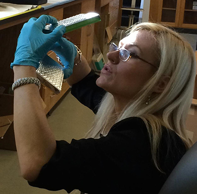 Researcher Anne Madden, looking at trays of samples containing DNA samples from homes. Image Credit: Adrianne A. Madden.