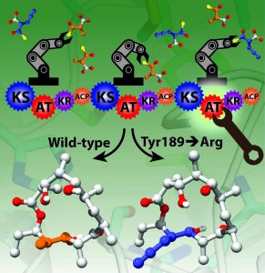 Robotic workstations of an enzyme assembly line selecting building blocks to synthesize antibiotic scaffolds. Image Credit: Gavin Williams