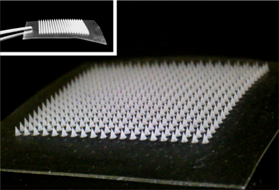 The thrombin-responsive microneedle patch is made of heparin-modified hyaluronic acid. Image courtesy of Yuqi Zhang.