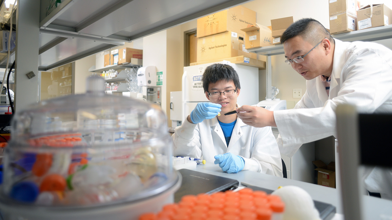 Zhen Gu and student work in his lab