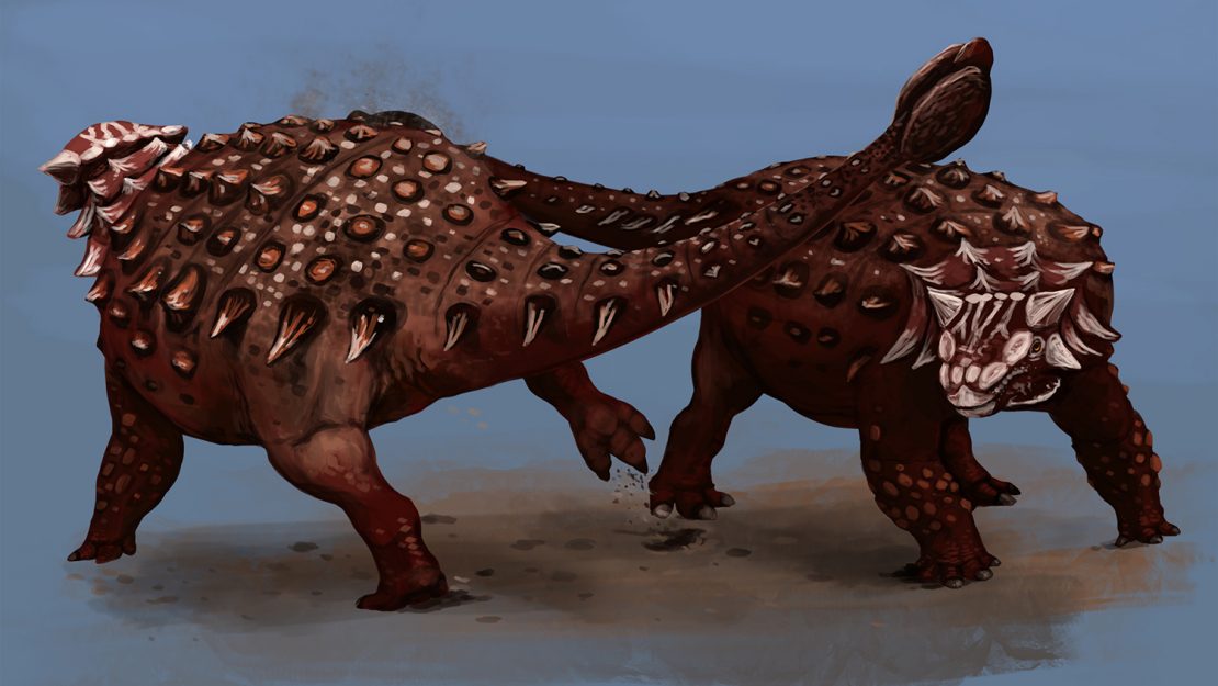 dinosaur with spikes on back and club tail