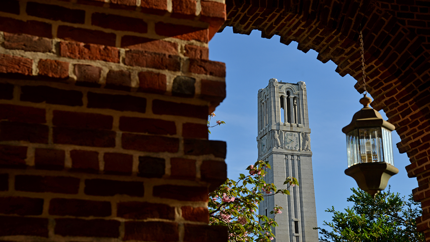 Spring morning sun illuminates the Holladay Hall and the Memorial Belltower.