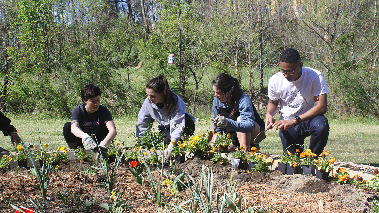 Volunteers plant flowers