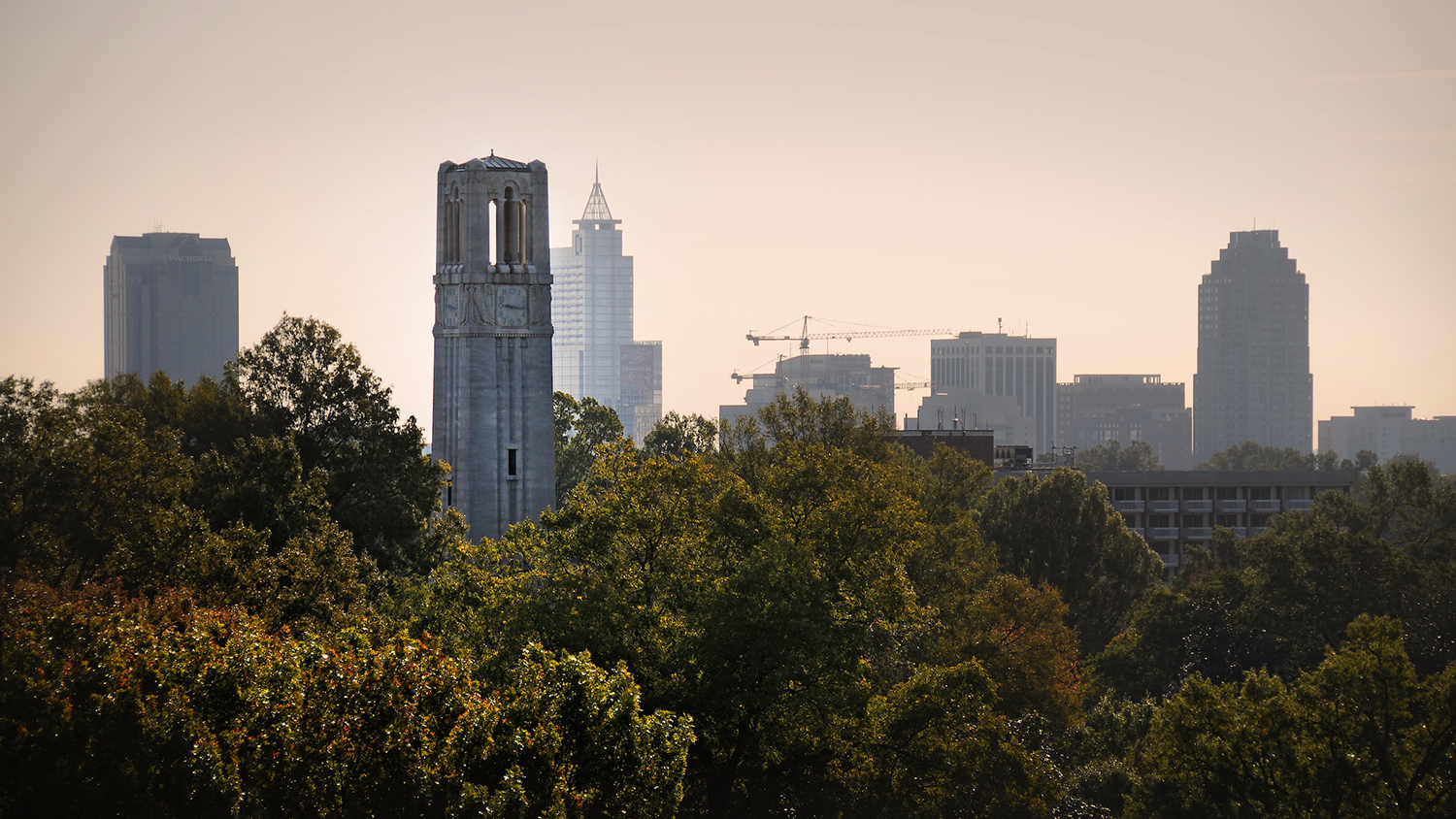 Skyline view of Raleigh