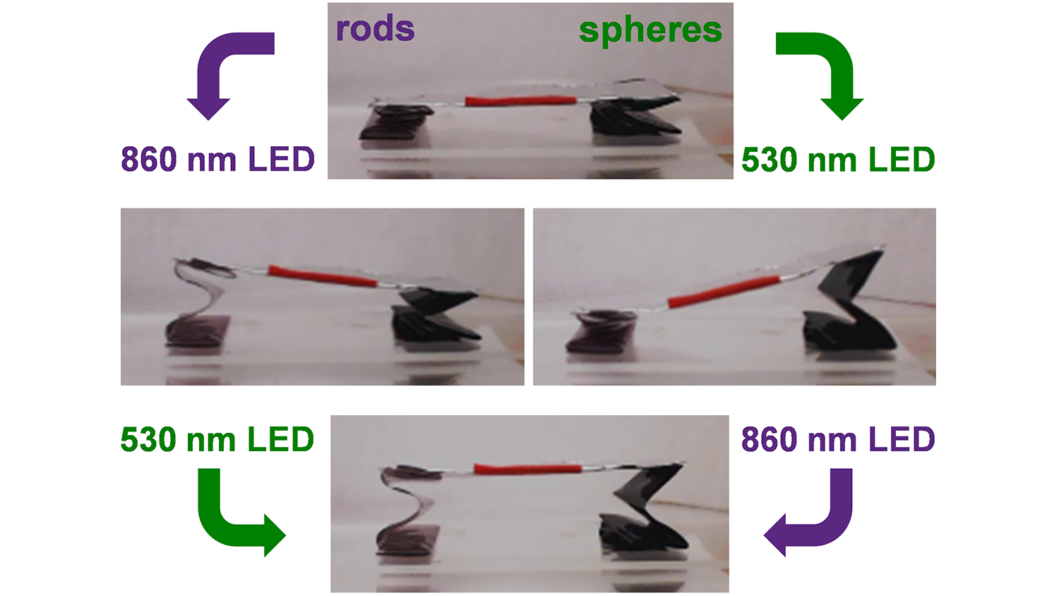 a diagram of a wavelength-controlled stage with accordion legs containing gold nanorods