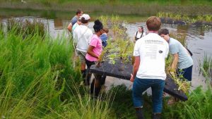 NC State students work with high school students to build floating islands on campus.