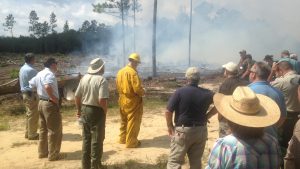 NC State assists the N.C. Forest Service with a prescribed burn.