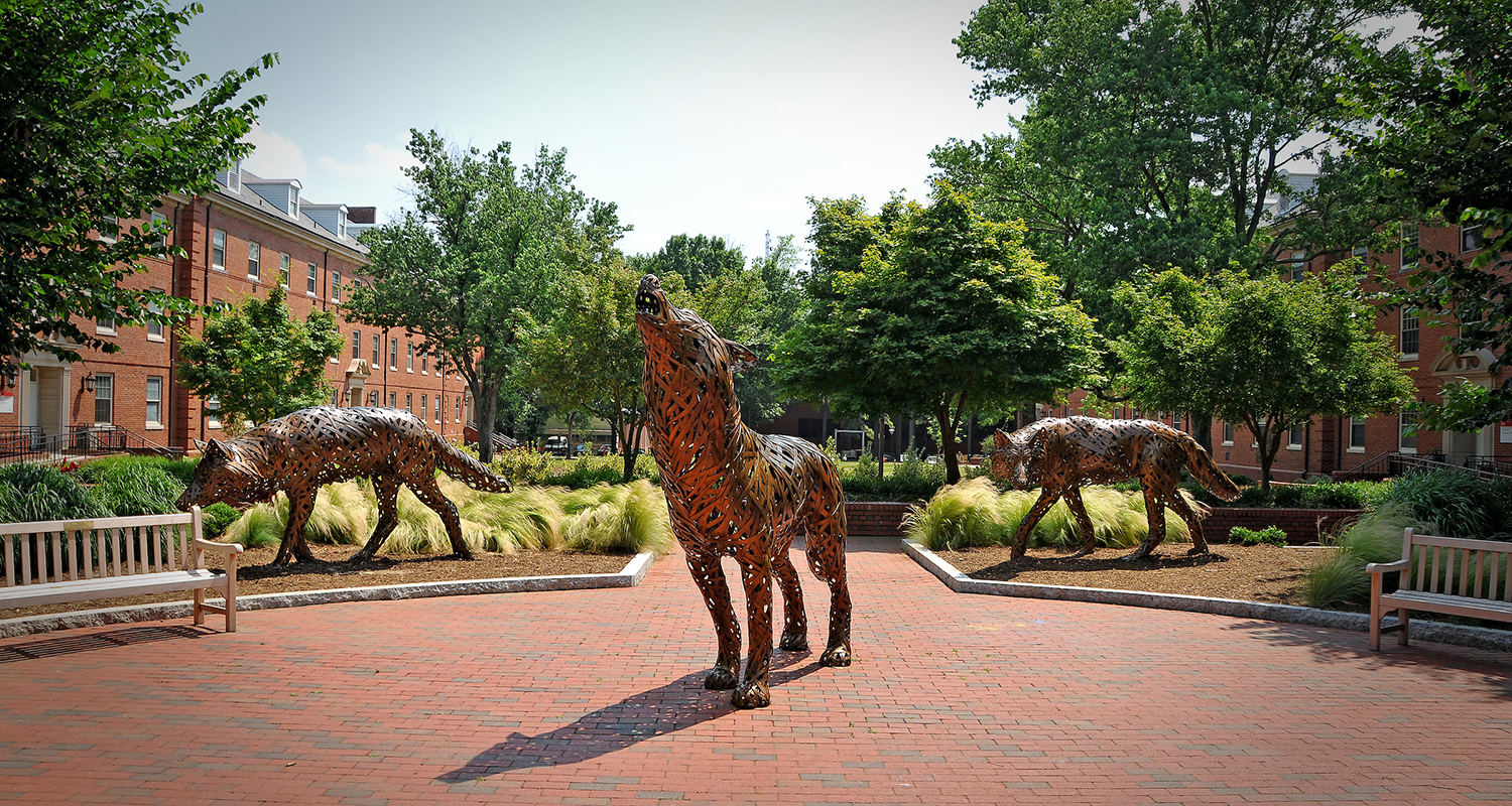 Panorama of wolf statues on a brick plaza at NC State.