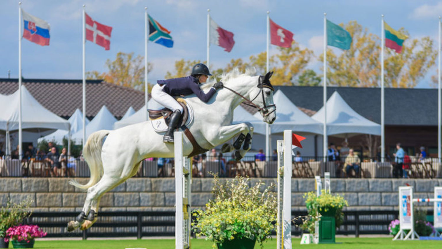 White horse jumping a hurdle in competition