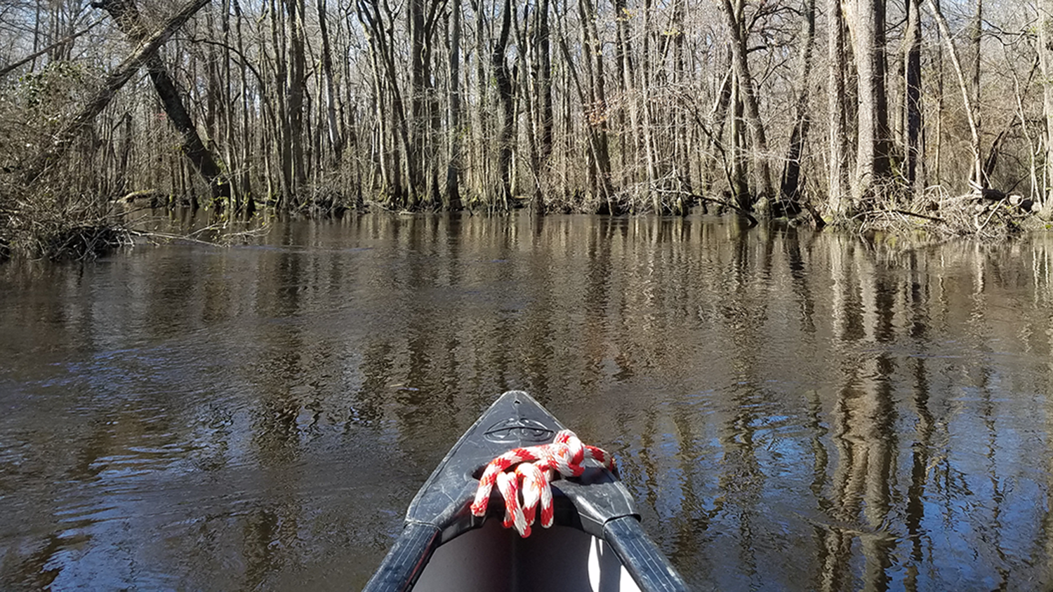 prow of a canoe on the river