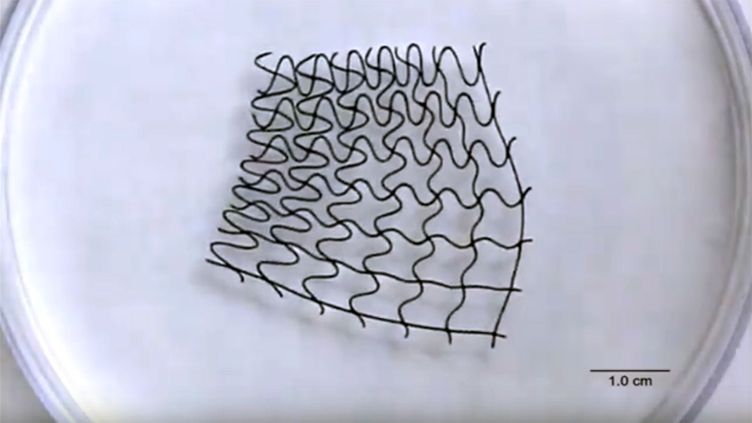 A still image from a video showing a 3-D printed magnetic mesh.
