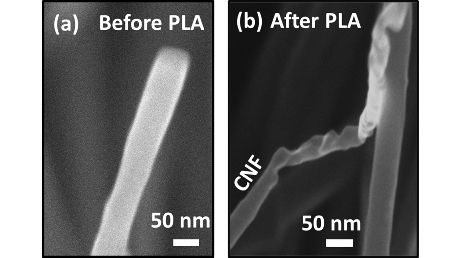 microscopic images of nanofibers