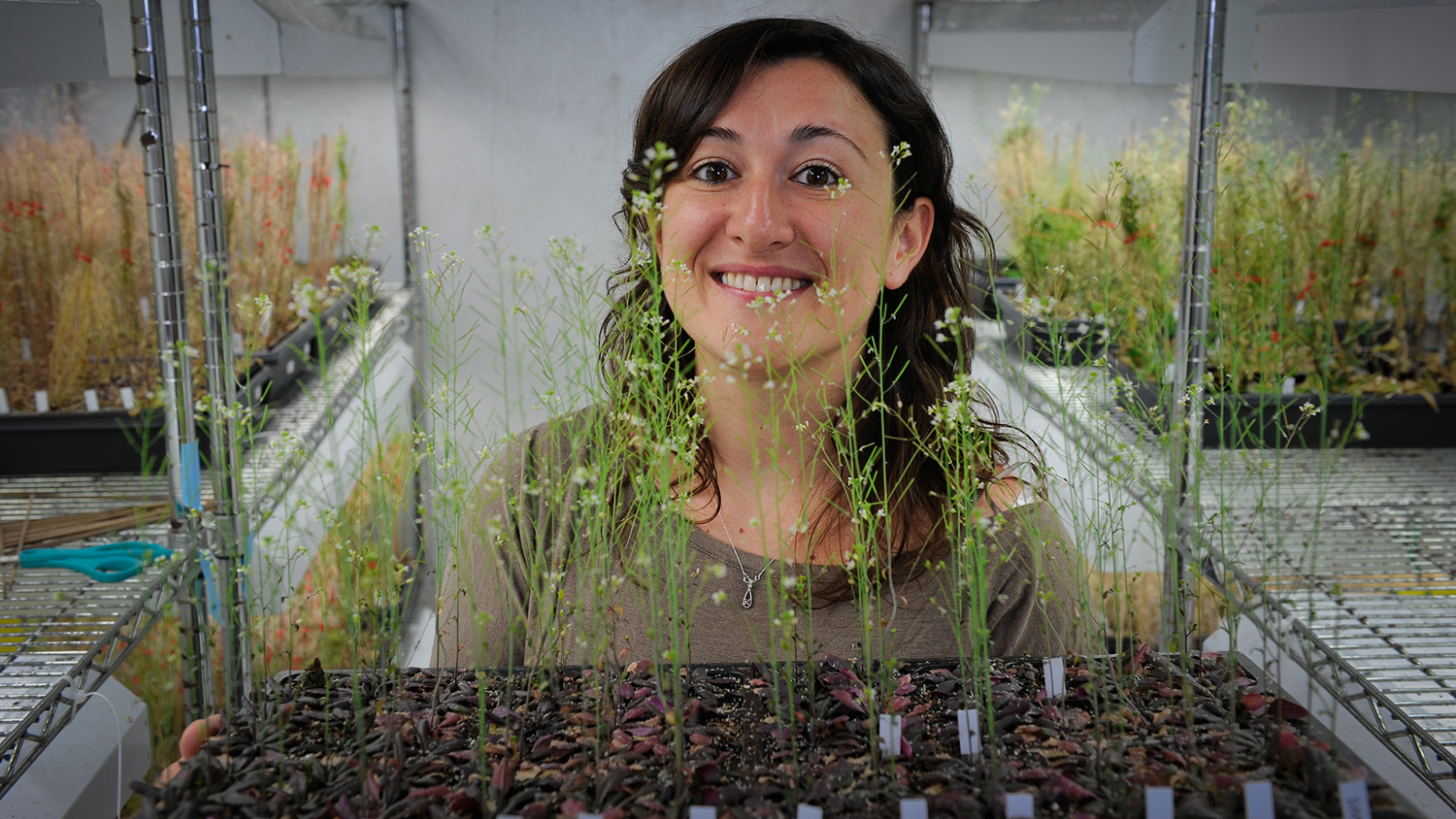 woman standing behind seedlings