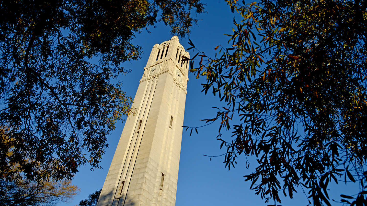 belltower and trees
