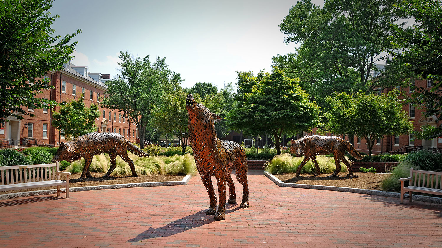 Copper wolf statues in Wolf Plaza at NC State