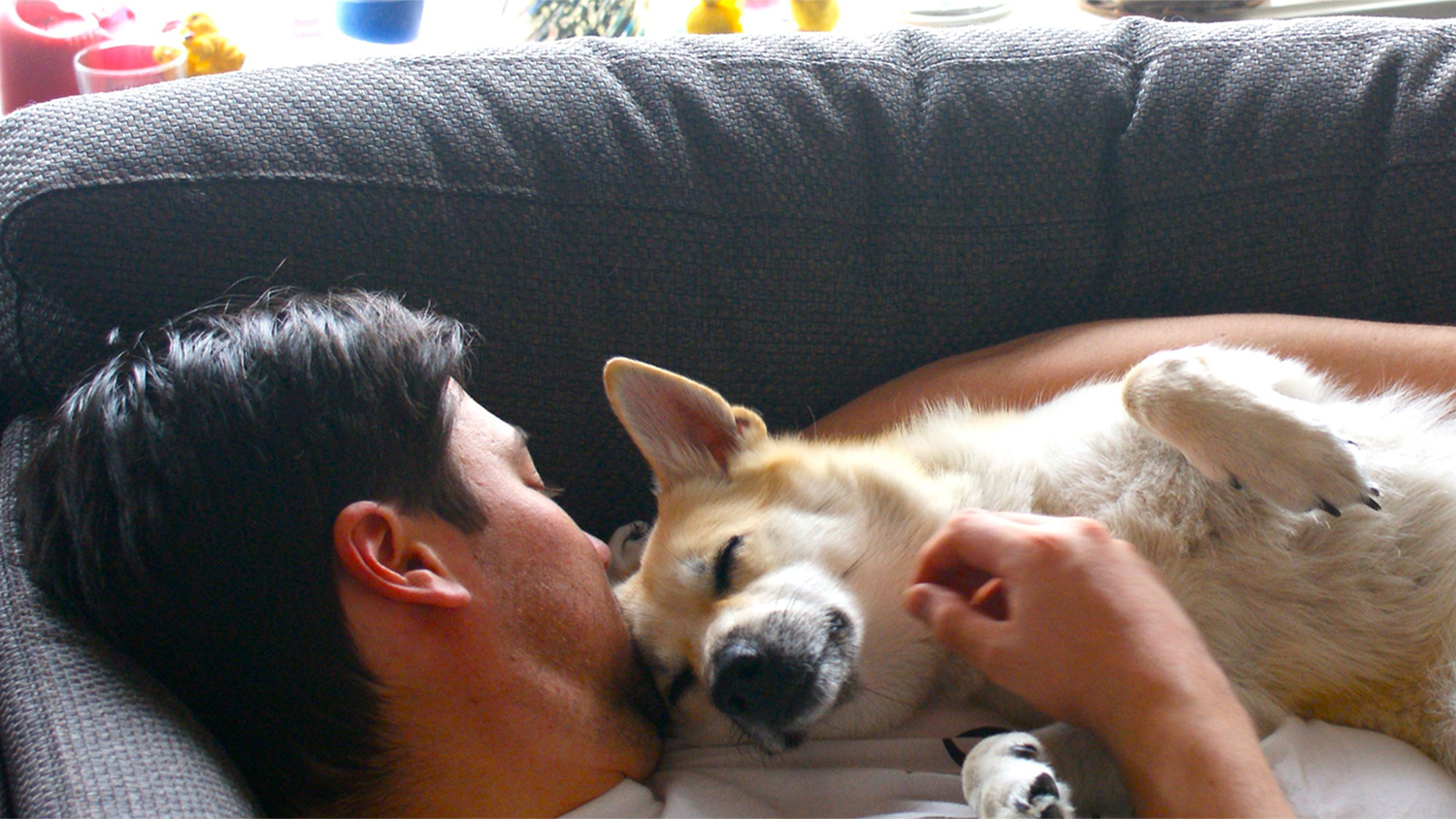 Dog cuddling with man.