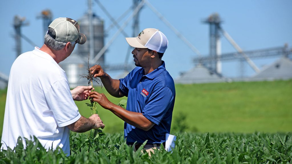 Two men holding a plant in a soybean field