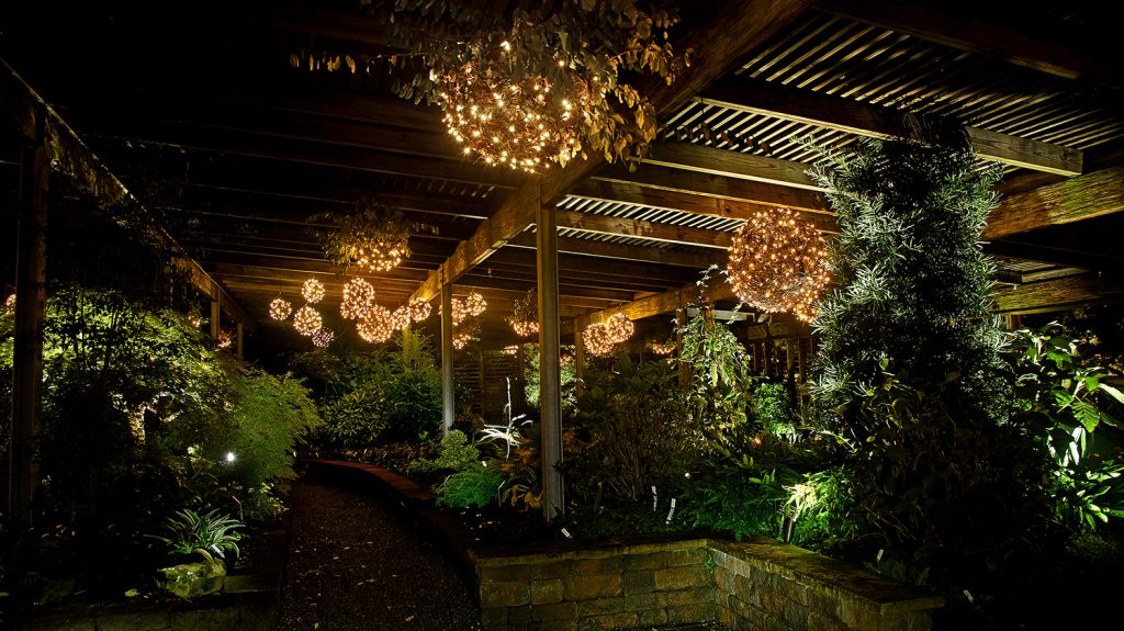 A twinkling nighttime scene from the arboretum's annual "Moonlight in the Garden" program, one of the most popular events on the calendar. This image was taken in the award-winning Lath House.