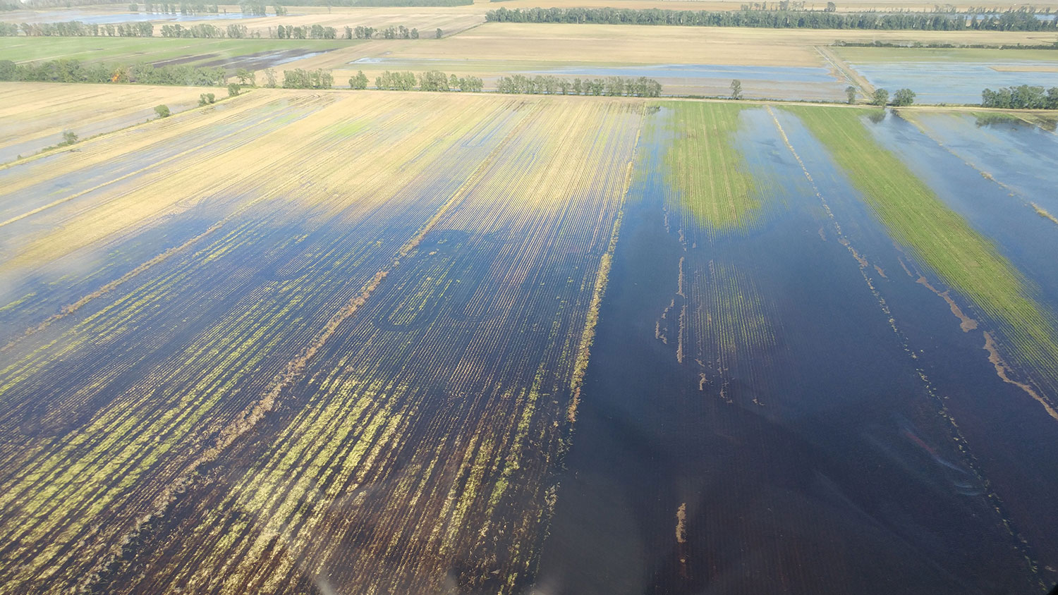 Agricultural fields flooded after Hurricane Matthew