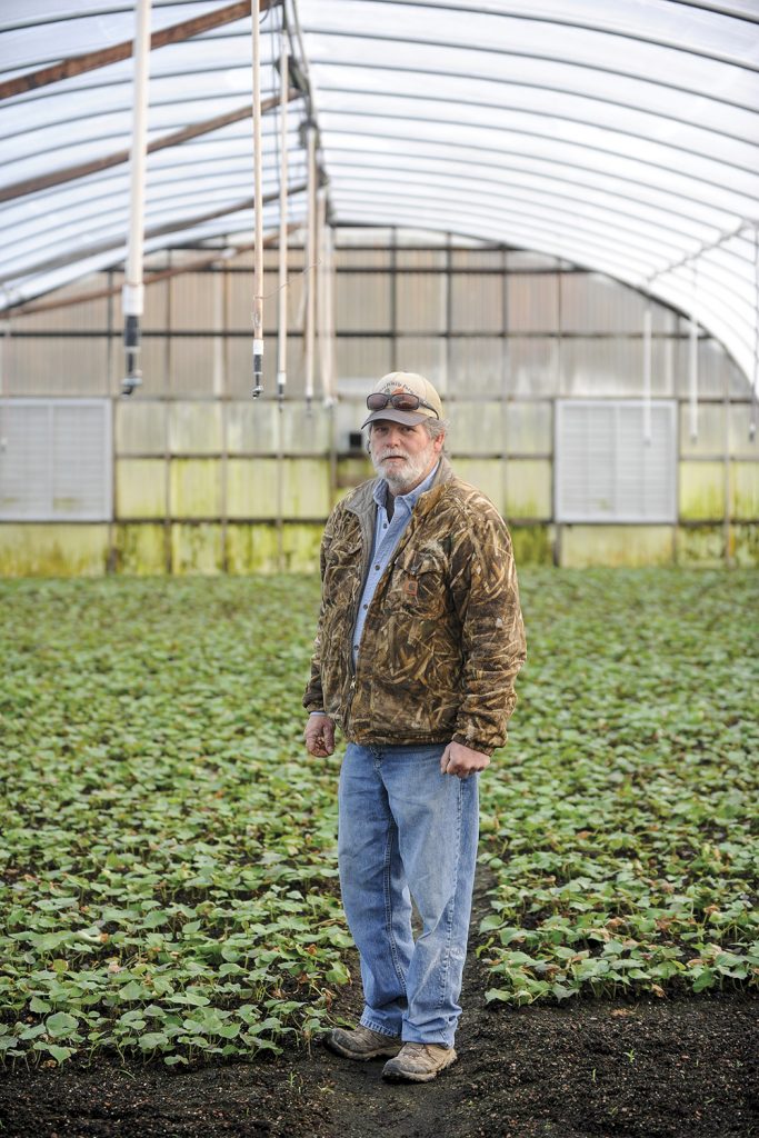 A farmer in a ballcap stands in his greenhouse in Bailey, North Carolina.
