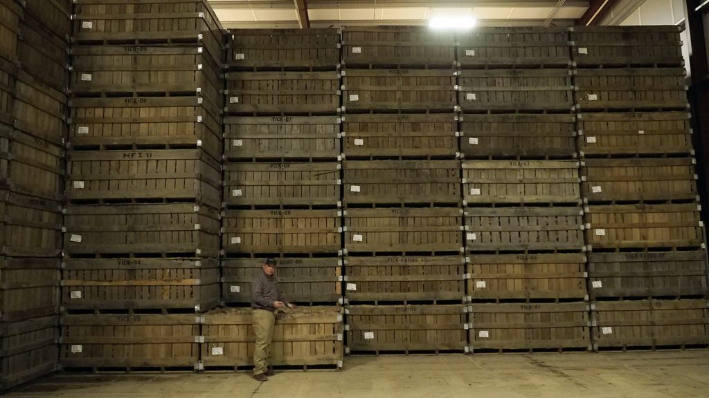 A warehouse with crates of sweet potatoes stacked floor to ceiling.