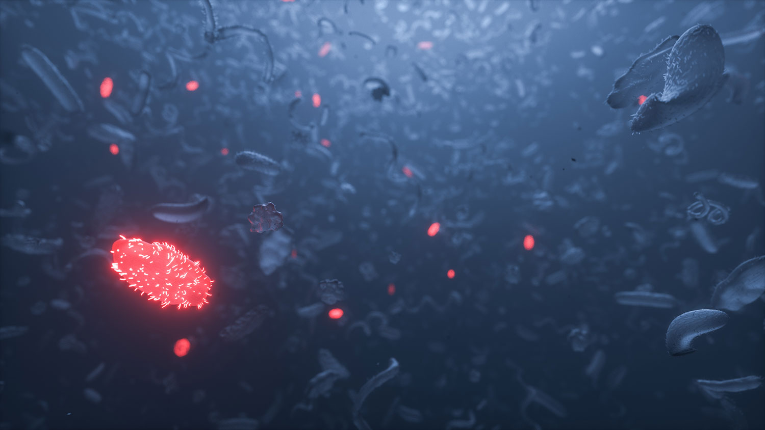 Highlighted bacteria used for CRISPR manipulation. Image provided by Locus Biosciences.