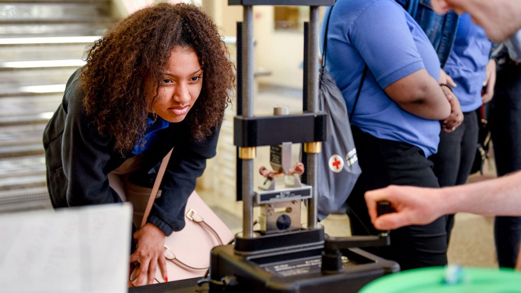 A student watches as a chicken bone reaches failure and breaks on a hand-crank three-point bending system.