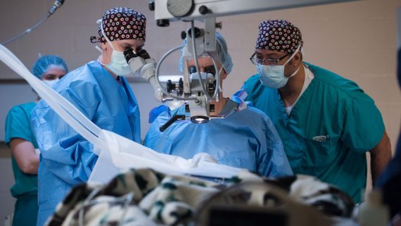 A team of three surgeons work on a chimp in an operating room