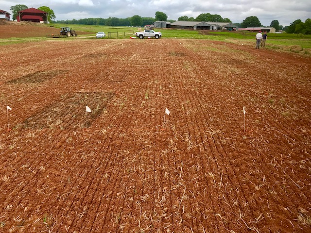 A field of crab grass with various fertilizer levels applied.