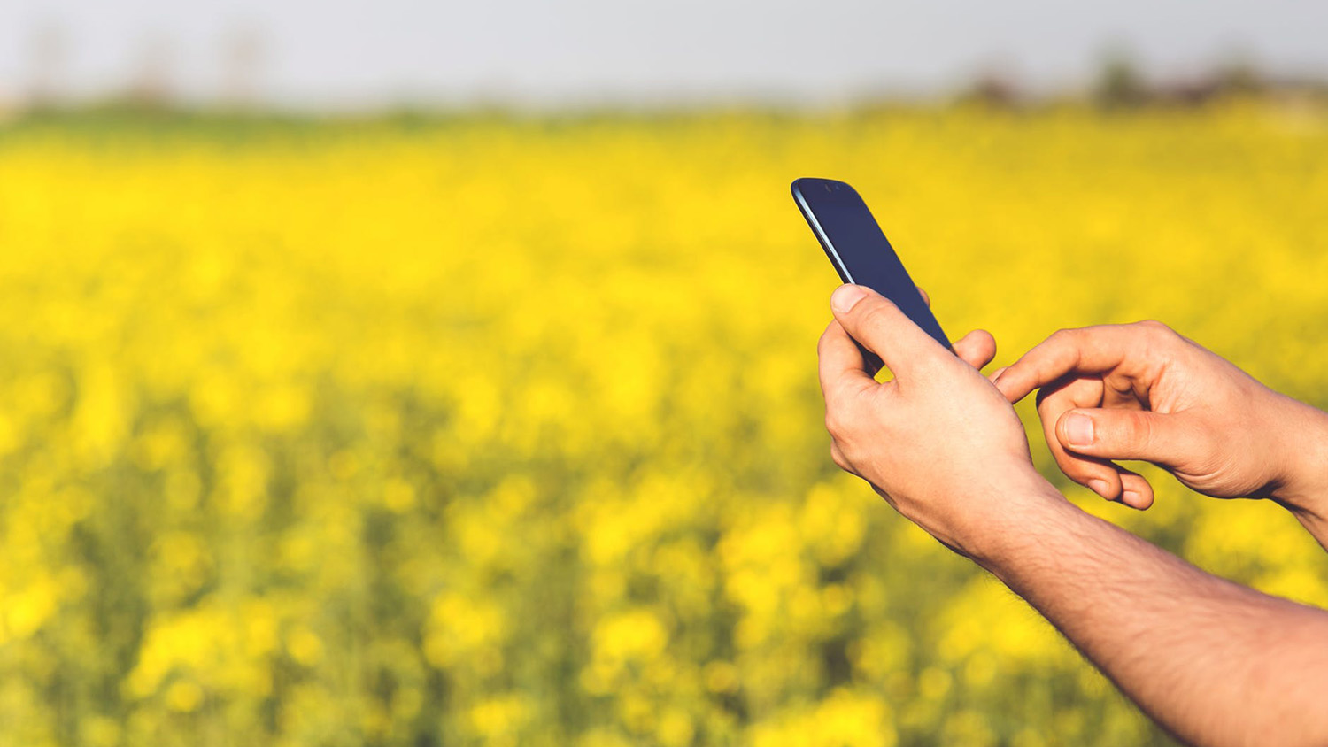 smartphone in front of a field