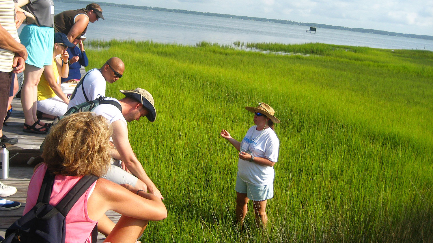 Woman standing in marsh giving instruction to people on a dock above