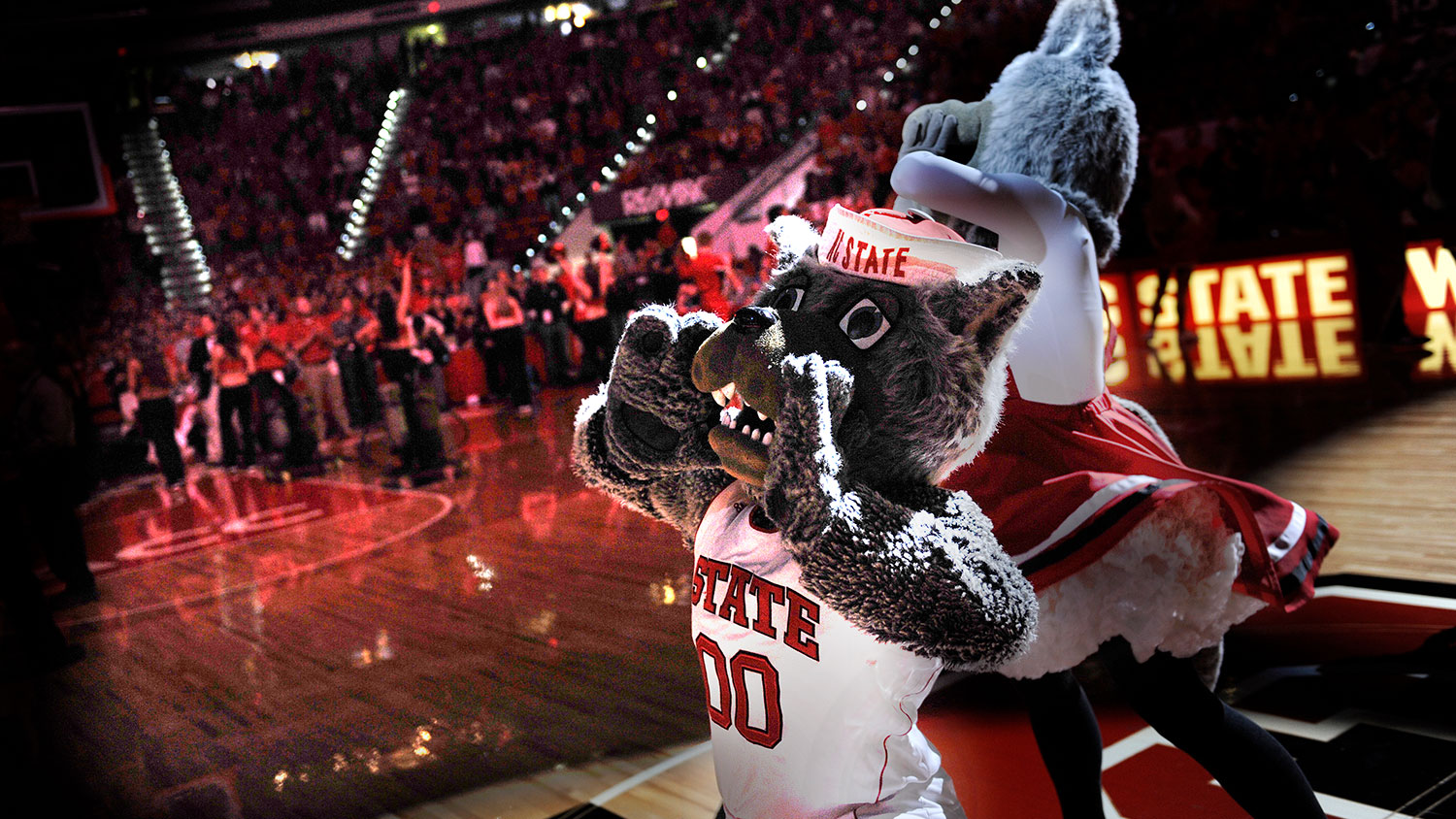 Mr. and Ms. Wuf howling at an NC State men's basketball game