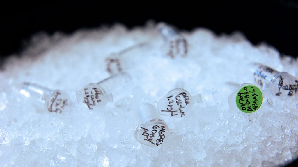 Vials of DNA on ice.