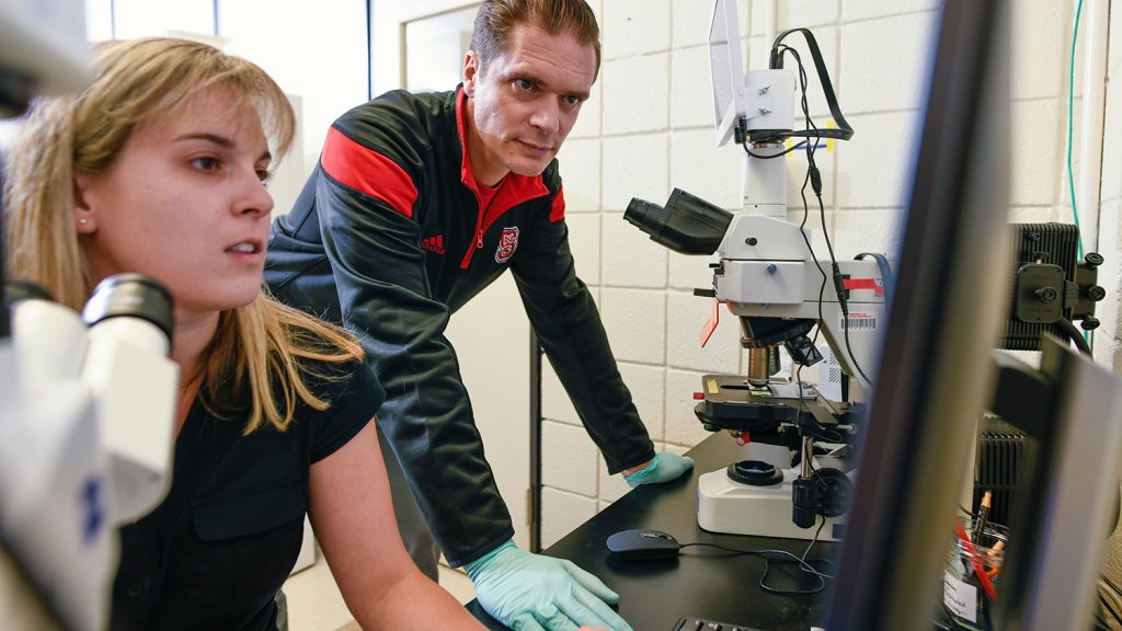 Rodolphe Barrangou in his lab in Schaub Hall.