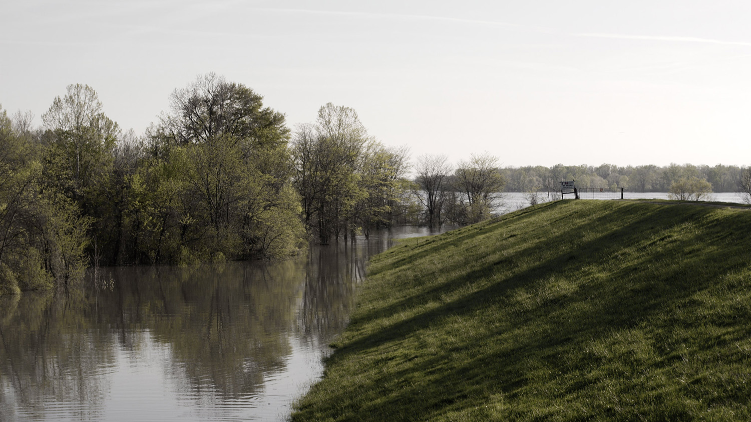 flood waters rise up the side of a levee