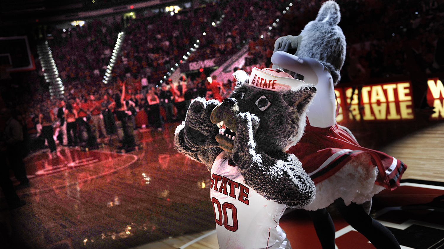 Mr. and Ms. Wuf cheer at a a basketball game.